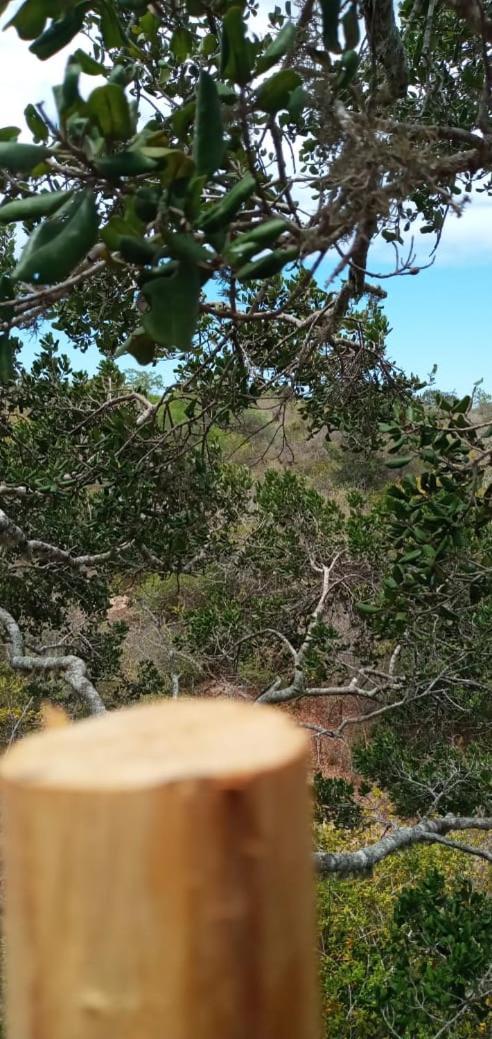 מלון טיסמהרמה Mamba Yala מראה חיצוני תמונה